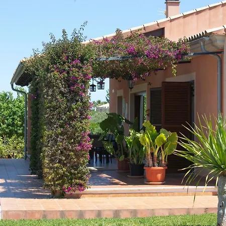 Oliveres * Muro